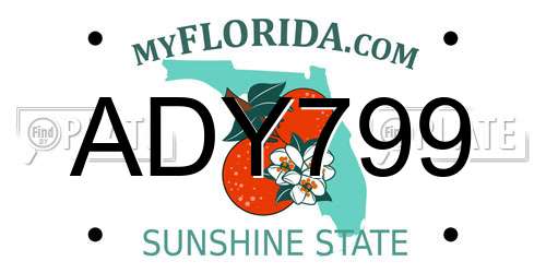 ADY799 Florida License Plate