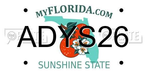 ADYS26 Florida License Plate