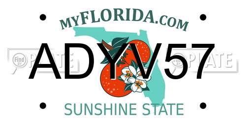 ADYV57 Florida License Plate
