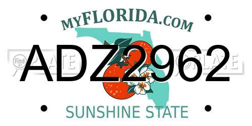 ADZ2962 Florida License Plate