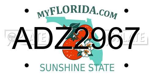 ADZ2967 Florida License Plate