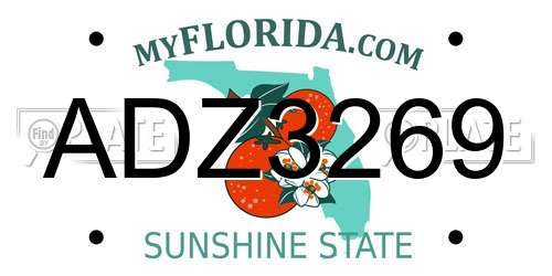 ADZ3269 Florida License Plate