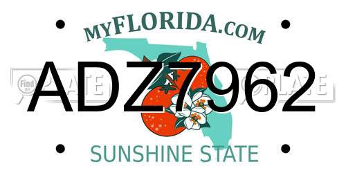 ADZ7962 Florida License Plate