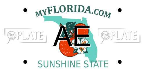 AE Florida License Plate