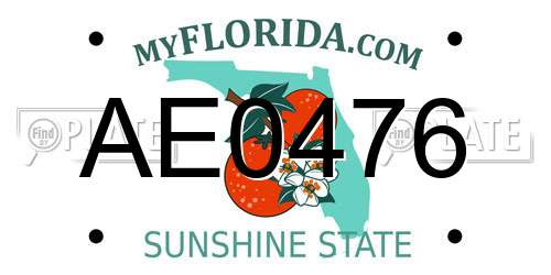 AE0476 Florida License Plate