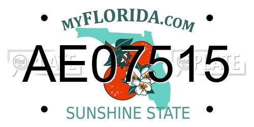 AE07515 Florida License Plate