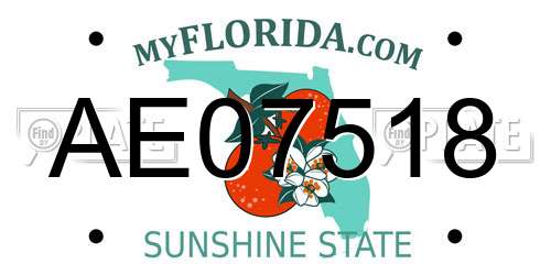 AE07518 Florida License Plate
