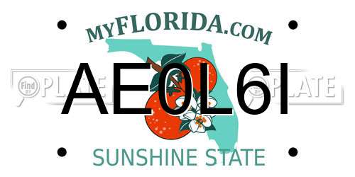 AE0L6I Florida License Plate