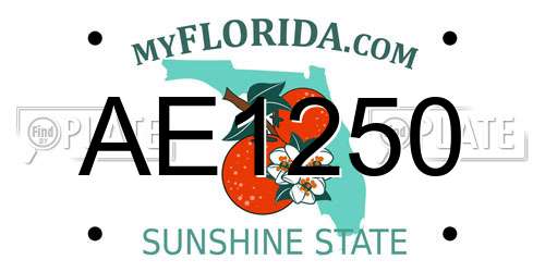 AE1250 Florida License Plate