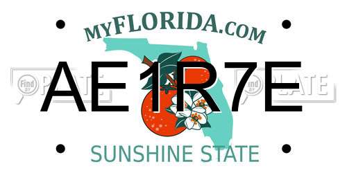 AE1R7E Florida License Plate
