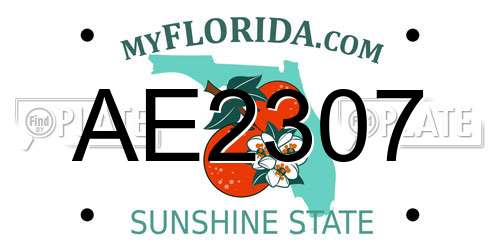 AE2307 Florida License Plate