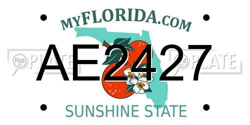 AE2427 Florida License Plate