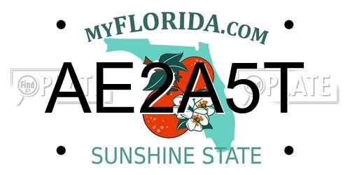 AE2A5T Florida License Plate
