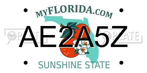 AE2A5Z Florida License Plate
