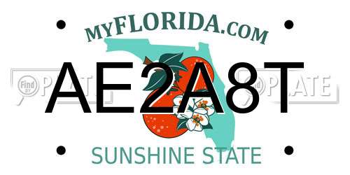 AE2A8T Florida License Plate