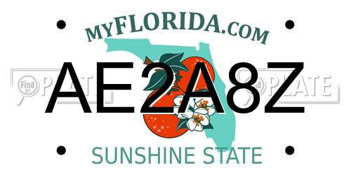 AE2A8Z Florida License Plate