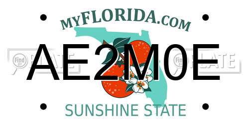 AE2M0E Florida License Plate