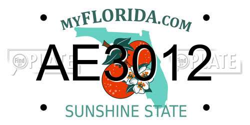 AE3012 Florida License Plate
