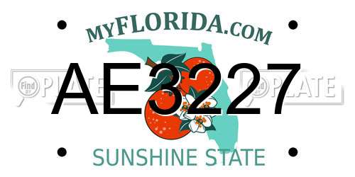 AE3227 Florida License Plate