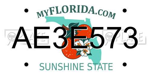 AE3E573 Florida License Plate