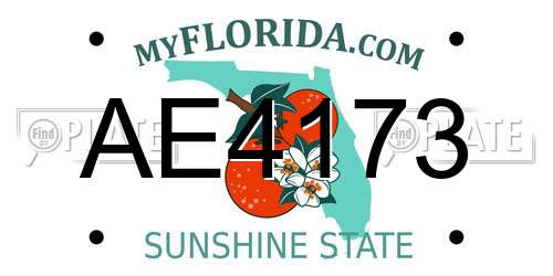 AE4173 Florida License Plate