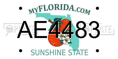 AE4483 Florida License Plate