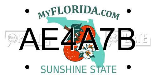 AE4A7B Florida License Plate