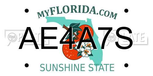 AE4A7S Florida License Plate