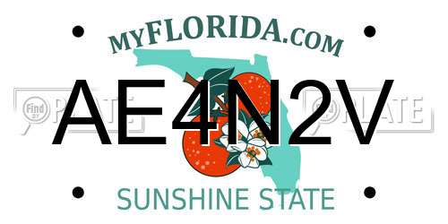 AE4N2V Florida License Plate