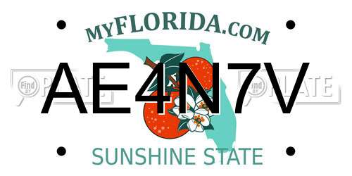 AE4N7V Florida License Plate