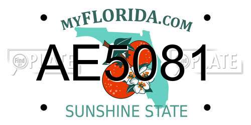 AE5081 Florida License Plate