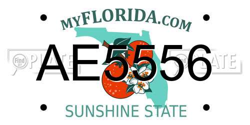 AE5556 Florida License Plate