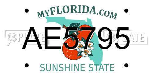 AE5795 Florida License Plate