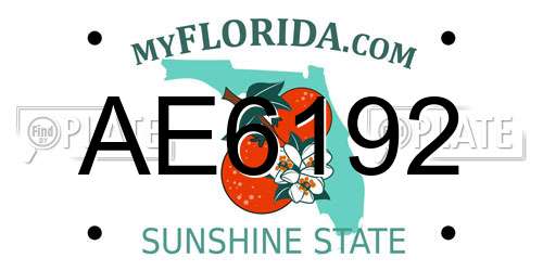 AE6192 Florida License Plate