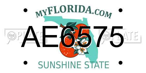 AE6575 Florida License Plate