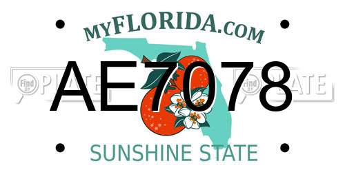 AE7078 Florida License Plate