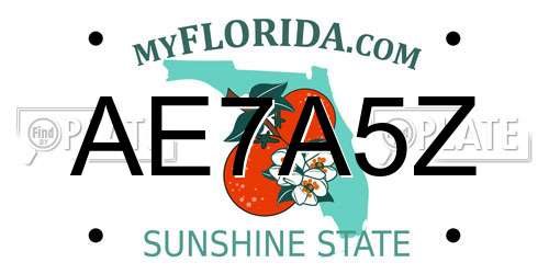AE7A5Z Florida License Plate