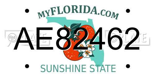 AE82462 Florida License Plate