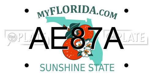AE87A Florida License Plate