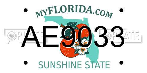 AE9033 Florida License Plate