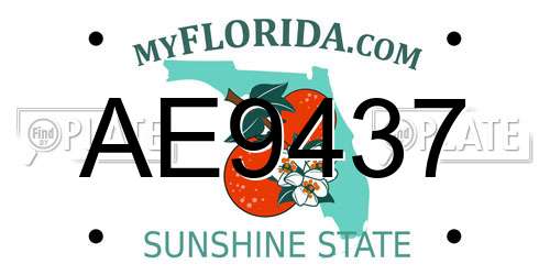 AE9437 Florida License Plate