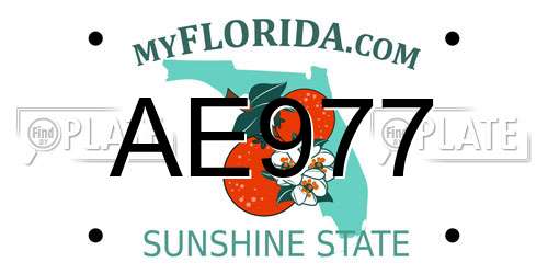 AE977 Florida License Plate