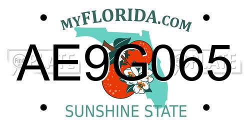AE9G065 Florida License Plate