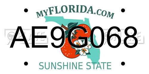 AE9G068 Florida License Plate