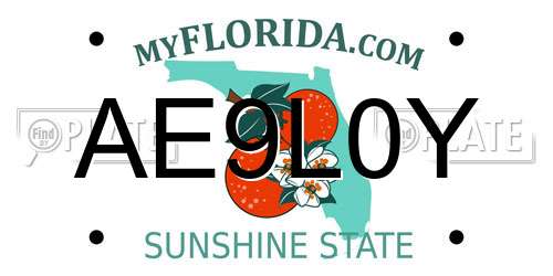 AE9L0Y Florida License Plate