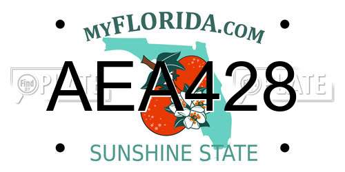 AEA428 Florida License Plate
