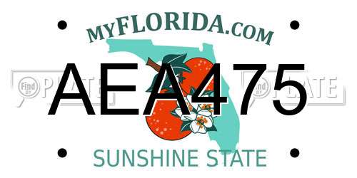 AEA475 Florida License Plate