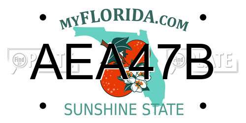 AEA47B Florida License Plate