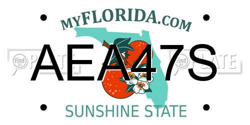 AEA47S Florida License Plate