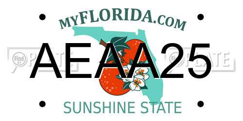 AEAA25 Florida License Plate